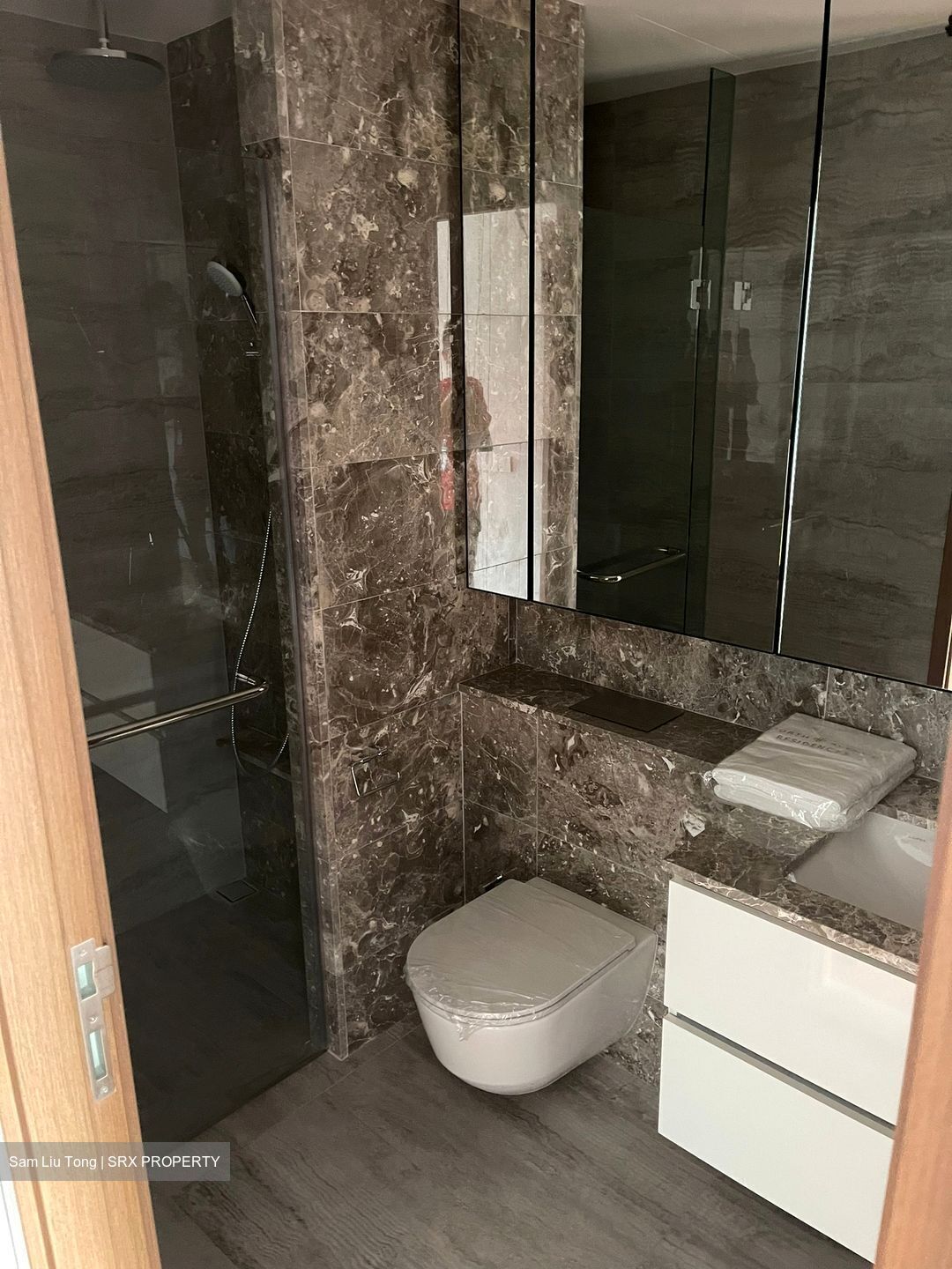 Fourth Avenue Residences (D10), Apartment #445199271